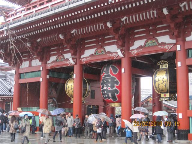 Picture 399 (Small).jpg